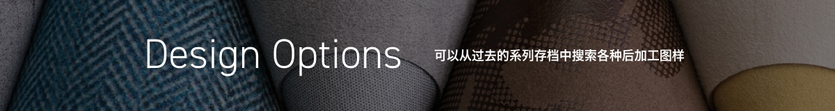 设计选项