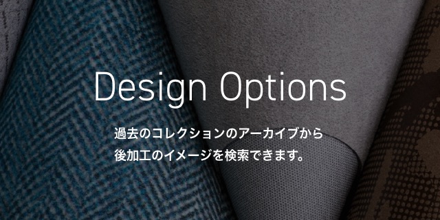Design Options